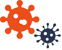 Screenshots of the dashboard project showing desktop version